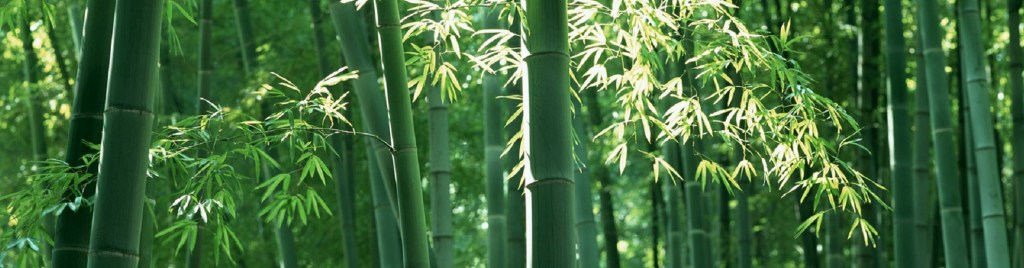 Resiliency, Biophilia and&nbsp;more